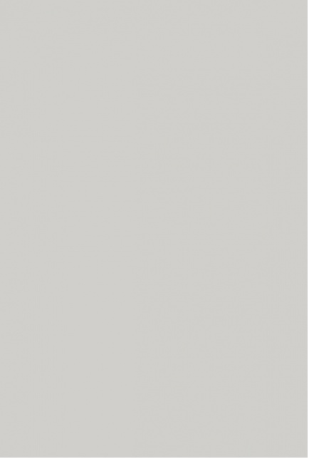 Light Grey Gloss